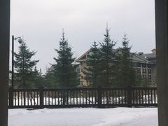 -长白山万达喜来登度假酒店