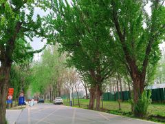 -汉长安城未央宫国家考古遗址公园