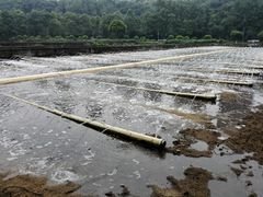 -重庆彩云湖湿地公园