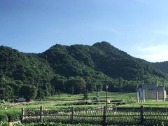 -龙坞茶村