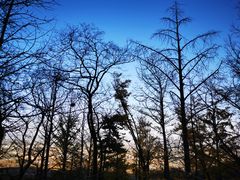 -阳台山自然风景区