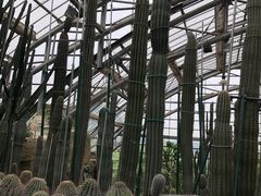 -南山植物园