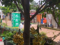 -涠洲岛香蕉鸡
