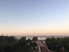 -宝安西湾红树林湿地公园