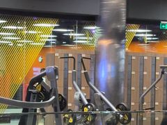 -威尔仕健身(金茂店)