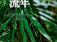 -望江楼公园