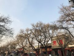 -东华门大街小区