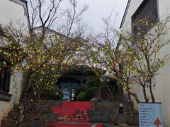 -雅达·阳羡溪山小镇中心