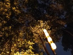 -鱼桥巷·美学川菜