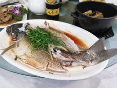 -喜运来酒楼(江南大道店)