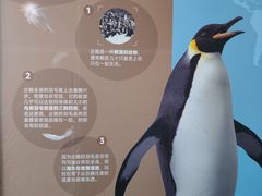 -海合安成都极地海洋公园