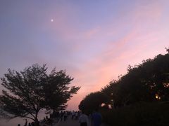 -深圳湾公园(南山区)
