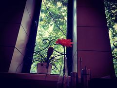 -红房子西菜馆(淮海中路店)