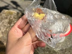 -蔺大妈松花糕