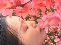 -木兰云雾山