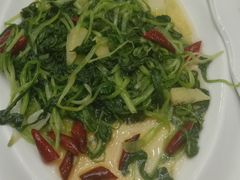 -清真悦宾楼食府(海湖店)