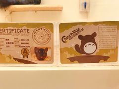 -龙猫仔乐园(惠福东路店)