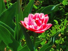 -北京植物园南门售票处