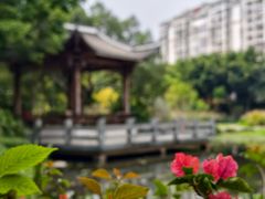 -光明港公园