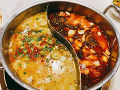 酸菜黑鱼鸳鸯小锅-德林酸菜鱼火锅(南丹店)