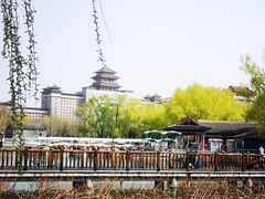 -莲花池公园