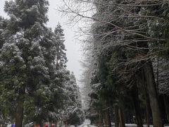 -武陵山森林公园