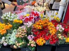 -循礼门鲜花花市(武汉循礼门店)