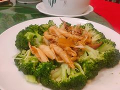 西兰花炒鱿鱼-胜记菜馆(文明路)