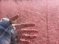 -BHG生活超市(安贞店)