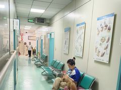 -北京观赏动物医院·24小时大型综合·猫专科·异宠专科