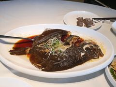 清蒸多宝鱼-鱼乐轩·俄罗斯海鲜直供餐厅(群力店)