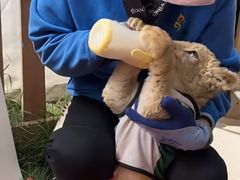 -鄂尔多斯野生动物园