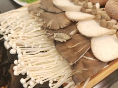 -蝎王府羊蝎子(北大地店)