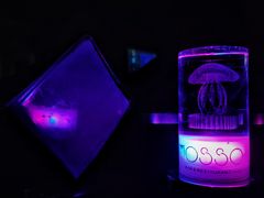 -MOSSO音乐酒吧·live house(长乐路店)