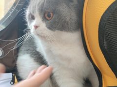 -谐和贝康宠物医院24小时·宠保定点(急重症转诊中心)