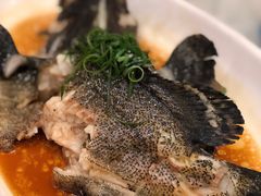 清蒸龙趸-庭苑美食中心·陈皮烧鹅·海鲜(台山店)