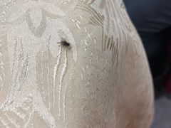 -肥妈岭南家厨(骏业路店)