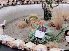 -OUR Bakery(SKP-S店)