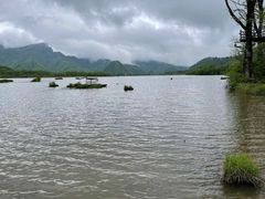 -大九湖