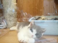 -Pets First伊珊娜洗护·精致美容·家庭式寄养(新会路店)