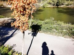 -白河湾山水缘民宿