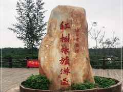 -东寨港红树林旅游区