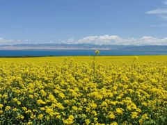 -青海湖国家重点风景名胜区