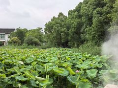 -丝绸小镇荻港古村