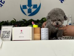 -酷宠动物医院(天通西苑店)