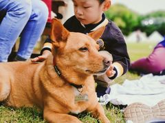 -上海美帆帆船露营基地