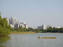 -华侨城湿地公园