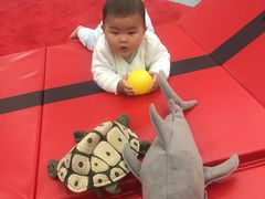 -美吉姆国际儿童教育中心(湛江招商花园城店)