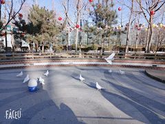 -南宫五洲植物乐园