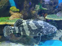 -石林冰雪海洋世界